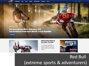 Screenshot taken from Red Bull website